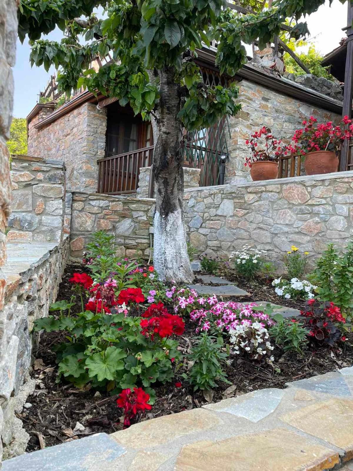 Apartment To Patriko Mas Guesthouse-1 Palaios Panteleimonas